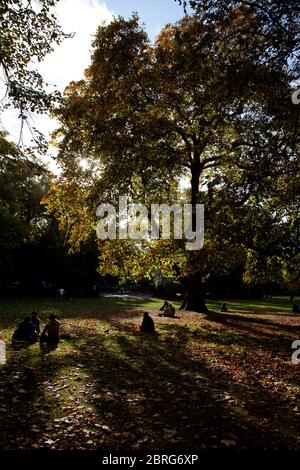 Herbstlicher Park mit großem Baum mit Sonnenlicht, das durch die Blätter scheint und die Menschen auf Gras saßen Stockfoto