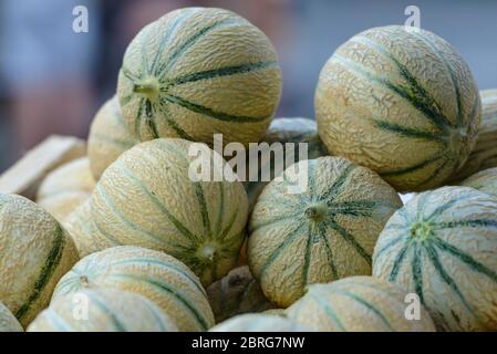 Eine Kiste voller Charentais-Melonen (eine lokale Spezialität) auf einem Marktstand in Saint-Palais-sur-Mer, Charente-Maritime, an der Südwestküste Frankreichs Stockfoto