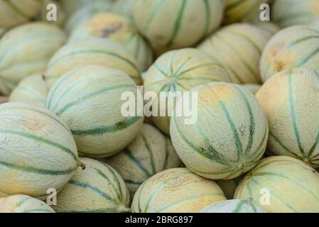 Ein Haufen Charentais-Melonen (eine lokale Spezialität) auf einem Marktstand in Saint-Palais-sur-Mer, Charente-Maritime, an der Südwestküste Frankreichs. Stockfoto