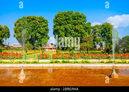 Beauty-Garten in Srinagar Stadt, Jammu und Kaschmir Staat Indien Stockfoto