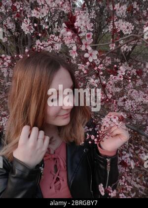 Sakura im El Retiro Park Stockfoto