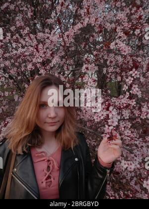 Sakura im El Retiro Park Stockfoto