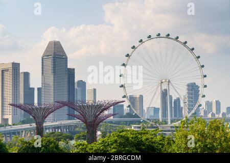 Supertree Grove ist ein großer botanischer Garten in der Marina Bay und ist eine der wichtigsten Sehenswürdigkeiten, um Singapur und singapur Flyer zu besuchen, Skylin Stockfoto