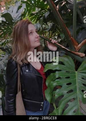 Atocha's Gewächshaus Stockfoto