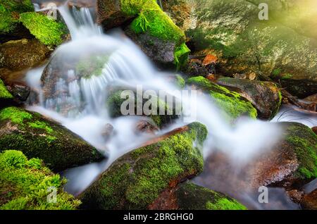 Gebirgswald Bach Kaskaden und fließt durch Moos gewachsenen Felsen Stockfoto