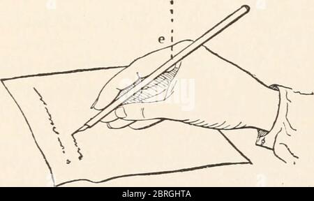 'Die Animaner und der Mensch; ein elementares Lehrbuch der Zoologie und der menschlichen Physiologie' (1911) Stockfoto