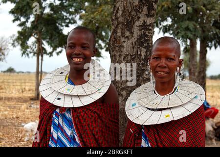 Zwei Maasai-Frauen; Nahaufnahme, Porträt, lächelnd, traditionelles Kleid, weißer Perlenkragen, große Ohrringe, klaffendes Loch im Ohr, Tansania; Afrika Stockfoto