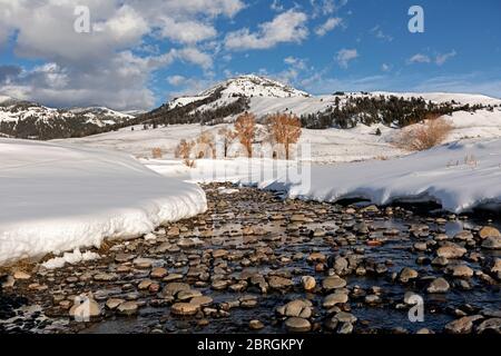 WY04551-00...WYOMING - kleiner Bach im schneebedeckten Lamar Valley im Yellowstone Nationalpark Stockfoto