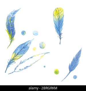 Set mit Aquarellfedern. Handgezeichnete Illustration Stock Vektor