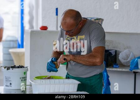 Ein Fischhändler öffnet Marennes-Oléron Austern (lokale Spezialität) auf dem Saint-Palais-sur-Mer Markt, Charente-Maritime, an der französischen Atlantikküste. Stockfoto