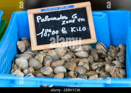 Eine Schachtel frischer Palourde-Muscheln mit Preisschild auf einem Marktstand in Saint-Palais-sur-Mer, Charente-Maritime, an der Südwestküste Frankreichs. Stockfoto