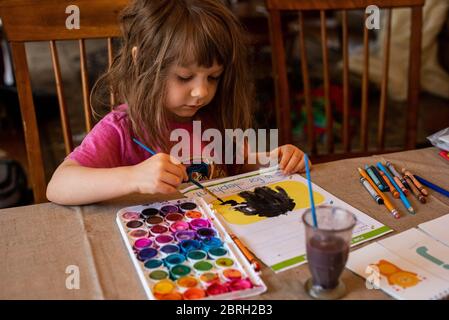 Ein 5-jähriges Mädchen malt mit einer Vielzahl von Aquarellfarben. Stockfoto