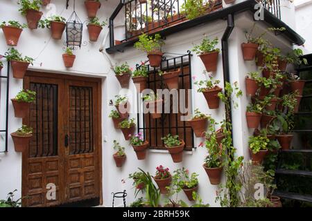 Andalusische Terrasse Fassade mit Töpfen und hängenden Pflanzen dekoriert. Córdoba, Andalusien, Spanien. Reisen und Tourismus. Stockfoto