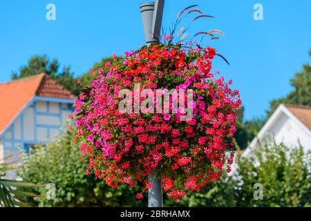 Saint-Palais-sur-Mer, Frankreich: Ein farbenfroher, kugelförmiger Blumenkorb aus roten Geranien und rosa Petunien auf einem Lampenposten im Stadtzentrum. Stockfoto