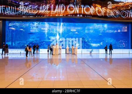 DUBAI, VAE - 25. FEBRUAR 2019: Dubai Aquarium und der Unterwasser Zoo in der Dubai Mall in VAE Stockfoto