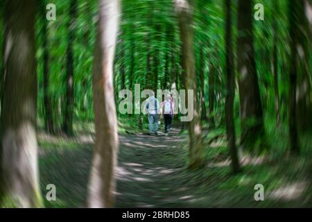 Ein kreisförmiges Unschärffoto von zwei Personen, die auf dem Waldweg spazieren Stockfoto