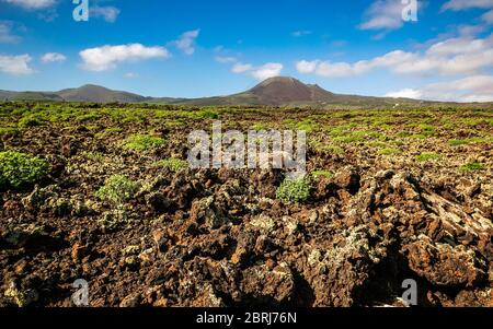 Zerklüftete Landschaft mit vulkanischer Lava und spärlicher Vegetation auf Lanzarote. Landschaft mit Vulkankrater am Horizont, Kanarische Inseln, Spanien. Stockfoto