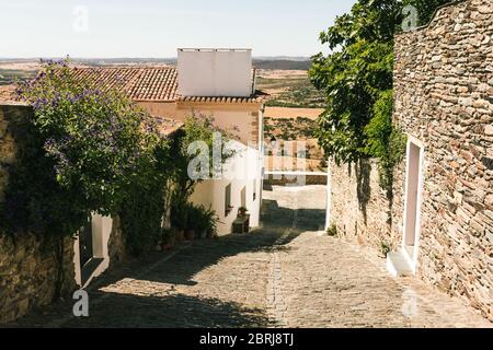 Straße in Monsaraz Dorf in Portugal, mit Pflanzen über den Wänden. Alte typische Häuser aus Alentejo, weiß und aus Schiefer. Reisen im Mittelmeerraum Stockfoto