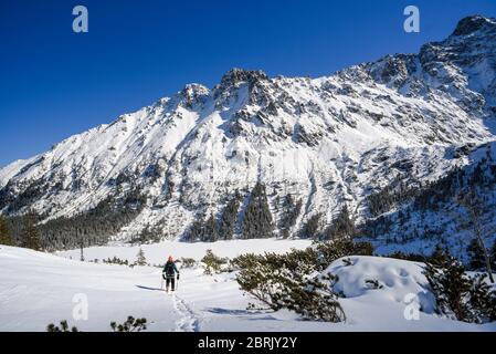 Bergsteiger auf der Wintergebirgslandschaft in der polnischen und slowakischen Tatra. Stockfoto