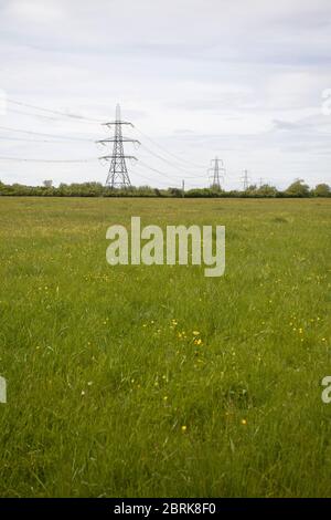 Stromleitungen auf dem Land, großbritannien Stockfoto