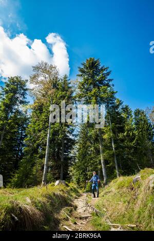 Schönes Panorama mit Senior-Touristen mit Trekking-Reise in polnischen Bergen Beskiden auf dem Weg nach Rysianka durch Romanka und Kotarnica Dur genommen Stockfoto