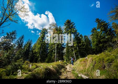 Schönes Panorama mit Senior-Touristen mit Trekking-Reise in polnischen Bergen Beskiden auf dem Weg nach Rysianka durch Romanka und Kotarnica Dur genommen Stockfoto