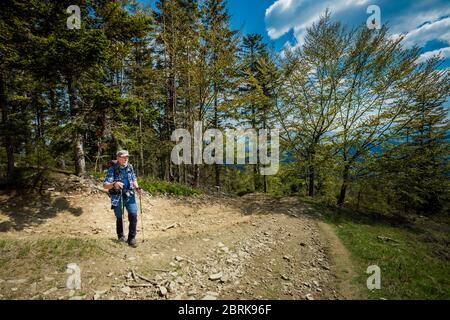 Schönes Panorama mit Senior-Touristen mit Trekking-Reise in polnischen Bergen Beskiden auf dem Weg nach Rysianka durch Romanka und Kotarnica Dur genommen Stockfoto
