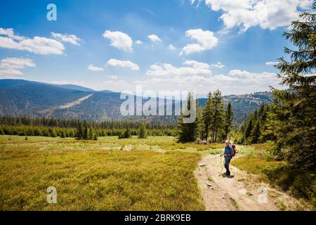 Schönes Panorama mit Senior-Touristen mit Trekking-Reise in polnischen Bergen Beskiden auf dem Weg nach Rysianka durch Romanka und Kotarnica Dur genommen Stockfoto