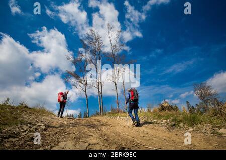 Schönes Panorama mit männlichen Touristen mit Trekking-Tour in polnischen Bergen Beskiden auf dem Weg nach Rysianka durch Romanka und Kotarnica duri genommen Stockfoto