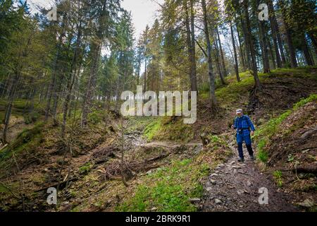 Schönes Panorama mit Senior-Touristen mit Trekking-Reise in polnischen Bergen Beskiden auf dem Weg nach Rysianka durch Romanka und Kotarnica Dur genommen Stockfoto