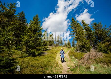 Schönes Panorama mit Senior-Touristen mit Trekking-Reise in polnischen Bergen Beskiden auf dem Weg nach Rysianka durch Romanka und Kotarnica Dur genommen Stockfoto