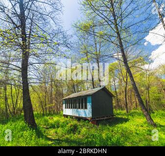 Einsames blaues Haus im Frühlingswald an sonnigen Frühlingstag Stockfoto