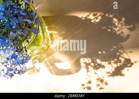 Bouquet von Vergissmeinnicht-Blumen in einem Glas-Becher auf einem sonnigen Holzhintergrund Stockfoto