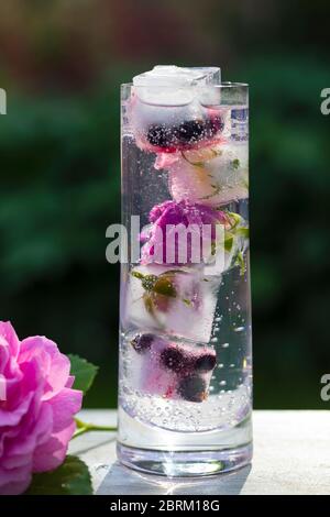 Mit Rose angereichert Gin Tonic in Longballglas Stockfoto