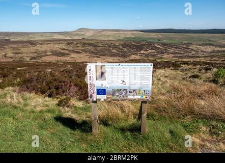 Langholm Moor: Es wurde ein Gemeinschaftskauf eingerichtet und hofft, das Land von Buccleuch Estates zu erwerben, um das Tarras Valley Nature Reserve zu schaffen. Stockfoto