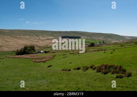 Tarras Valley, Teil der Langholm Moor Community Buyout, um Land von Buccleuch Estates zu kaufen, um das Tarras Valley Nature Reserve zu schaffen. Stockfoto