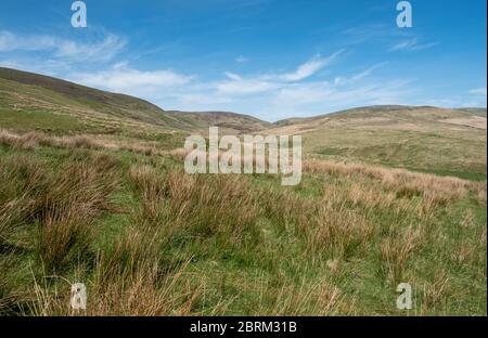 Tarras Valley, Teil der Langholm Moor Community Buyout, um Land von Buccleuch Estates zu kaufen, um das Tarras Valley Nature Reserve zu schaffen. Stockfoto