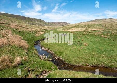 Tarras Valley, Teil der Langholm Moor Community Buyout, um Land von Buccleuch Estates zu kaufen, um das Tarras Valley Nature Reserve zu schaffen. Stockfoto