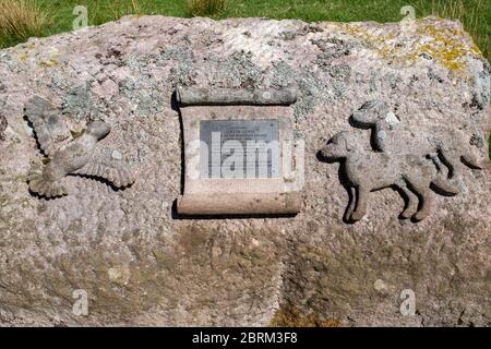 Tarras Valley, Teil der Langholm Moor Community Buyout, um Land von Buccleuch Estates zu kaufen, um das Tarras Valley Nature Reserve zu schaffen. Stockfoto