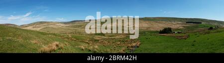 Langholm Moor Community Buyout: Das Tarras Valley, das Teil des Tarras Valley Naturreservats, Dumfries & Galloway, Schottland, sein wird. Stockfoto