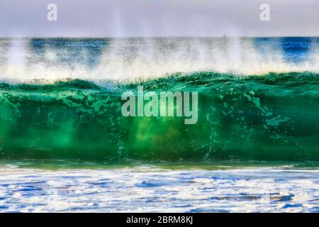 Hohe Welle von smaragdfarbenem Salzwasser mit einschließlich Sand, der zum Bungan Strand von Sydney im Morgenlicht rollt. Stockfoto