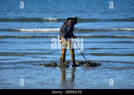 Schatzsucher in Camo Neoprenanzug Hose mit Metalldetektor und Schaufel am sandigen Ufer. Stockfoto