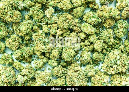 Hintergrund von Cannabisknospen, Marihuana Weed. Draufsicht. Stockfoto