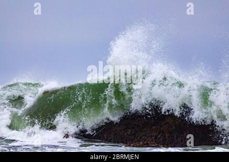 Riesige grüne Welle stürzt auf Algen bedeckten Felsen, in riesigen Splash Stockfoto