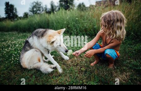 Kleiner Junge mit langen Haaren riechende Blumen auf einem Feld Mit einem Hund Stockfoto