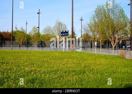 Montreal, Quebec, Kanada. 21st.Mai 2020. Louis-Riel Baseball Stadtpark Einrichtungen, die von Löwenzahn übernommen, wie die Stadt langsam für die anfängliche Sperre auftaucht, mit strengen Grenzen für sportliche Aktivitäten Stockfoto