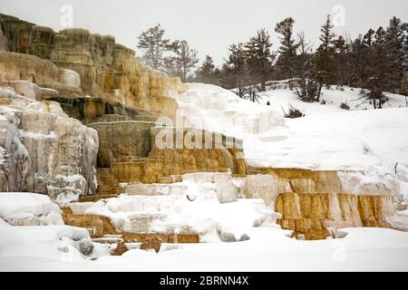 WY04578-00...WYOMING - Bunte Hügel-Terrasse in Mammoth Hot Springs im Yellowstone Nationalpark. Stockfoto