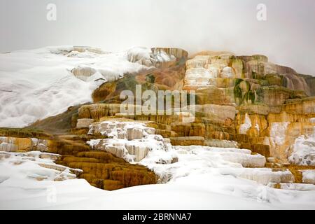 WY04579-00...WYOMING - Mound und Juniper Hot Springs, Teil der Mammoth Hot Springs Gruppe im Yellowstone Nationalpark. Stockfoto