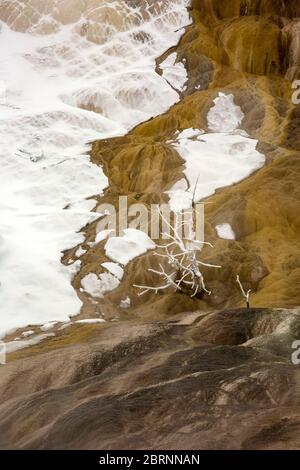 WY04580-00....WYOMING - farbenfrohe Linien und Textur auf der teilweise schneebedeckten und frostbedeckten heißen Quelle in Mammoth Hot Springs in Yellowstone National P. Stockfoto