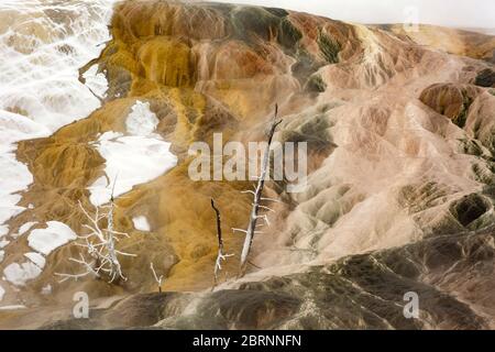 WY04580-00....WYOMING - farbenfrohe Linien und Textur auf der teilweise schneebedeckten und frostbedeckten heißen Quelle in Mammoth Hot Springs in Yellowstone National P. Stockfoto